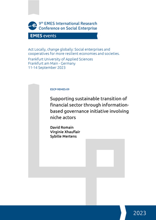 Supporting sustainable transition of financial sector through information-based governance initiative involving niche actors