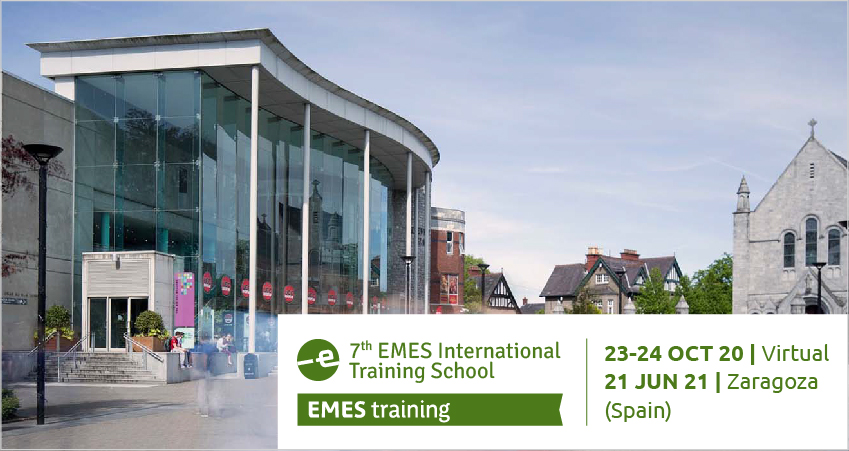 EMES-COST-UCC Blended Learning Training School